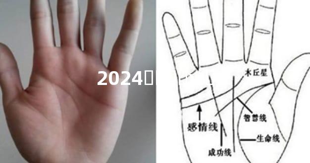 2024겹ƿʱ֪жƸ