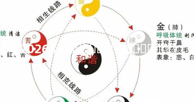 2026ʮ�·ݻ�������ôѡ���ȿ�