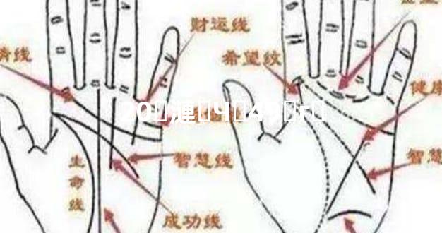 20֤漣ͺЧؼ49֤гת