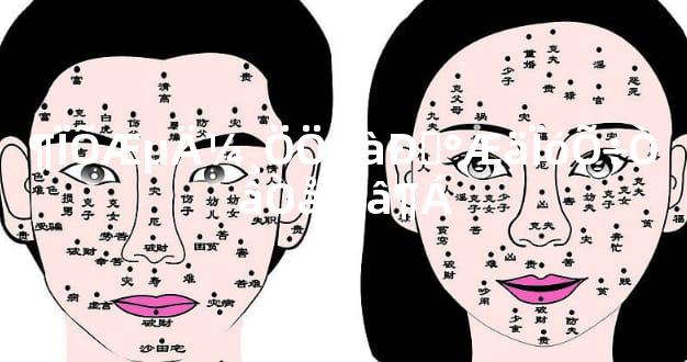 ¶ÏÕÆµÄ¼¸ÖÖÀàÐͼ°ÆäÏóÕ÷ÒâÒå½â¶Á