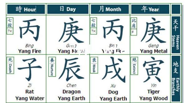 ƿ鷨Ƹ֮ŵĹǻ