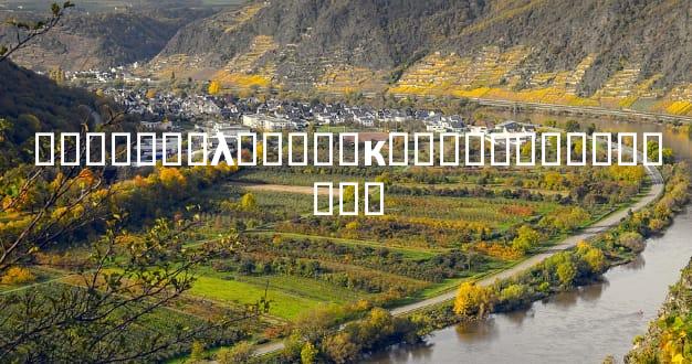 ȫ������λ�����к�˵���ܶ��˶�����