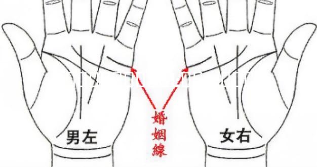 ɨ�뿴���౳��Ŀ��ж���