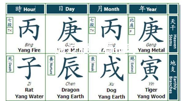 通过腰部看福寿
