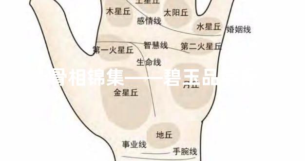 骨相锦集——碧玉品字骨