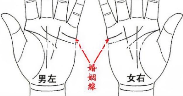 �Ű��ֵ��߸��������