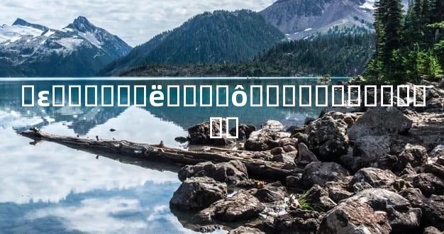 �ε����ϵ�ë����ô���ܶ��˶������