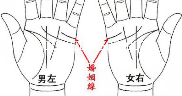 ��Ů��Ե�ֵ�5������