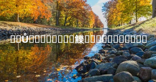 ��Ů���̰��ֺϻ鱳�����˼�ͽ���