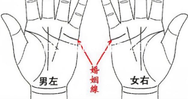 ��Ů���ֺϲ��ϵ��׿�ɶ