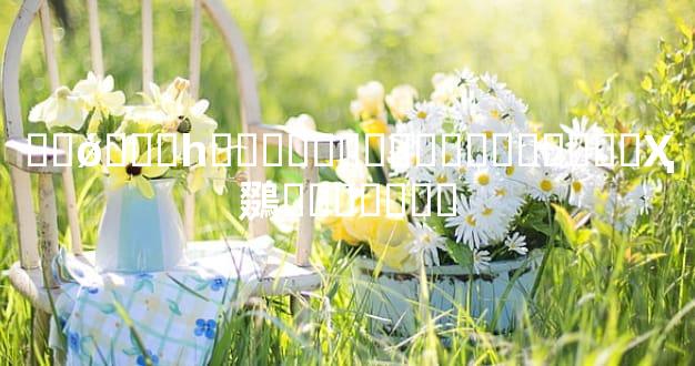 ��ǿ���һ�������Ͻ������֣��Ҳ鵽��ֻ����