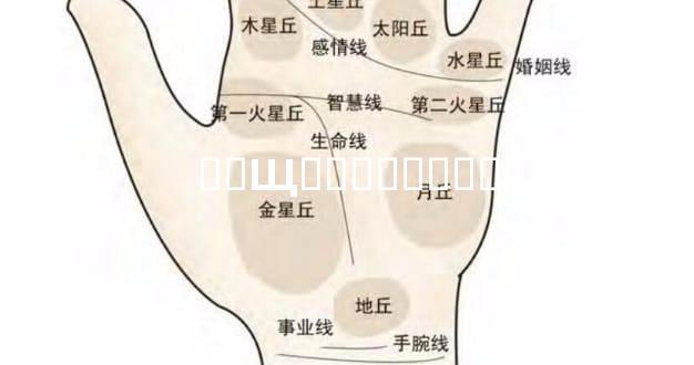 ��Щ��������