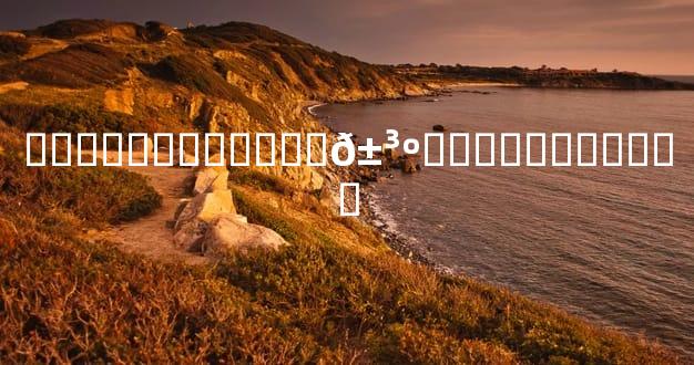 ��Ѳ���Ե�����𱳺��������ѡ��