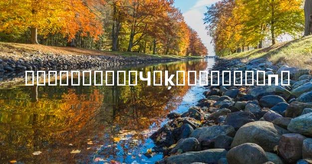 ��ػ�������Ч�ķ�����ʵ�ܲп�