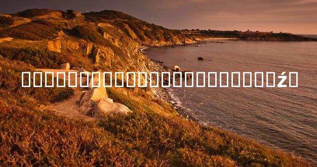 ���ȥ����ϸ����˵���ֲ����ź�