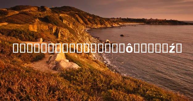 ���̽�����޴�����ʲô�����ź�