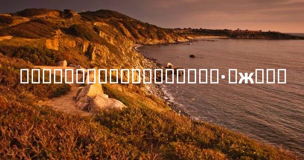 ���տ���������ƭ����·�ж���