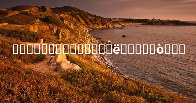 ���볤����������ë�ڵ��׺ò���