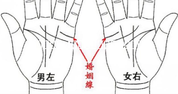 ����Ů������ʲô��˼