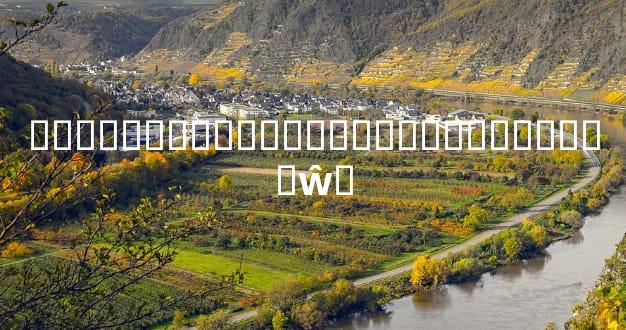 ����Ԭ���������������������ŵ�