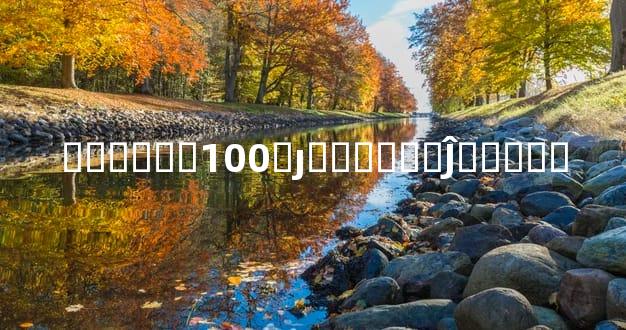 ����ھ�100׼ȷ������Ĵ�����