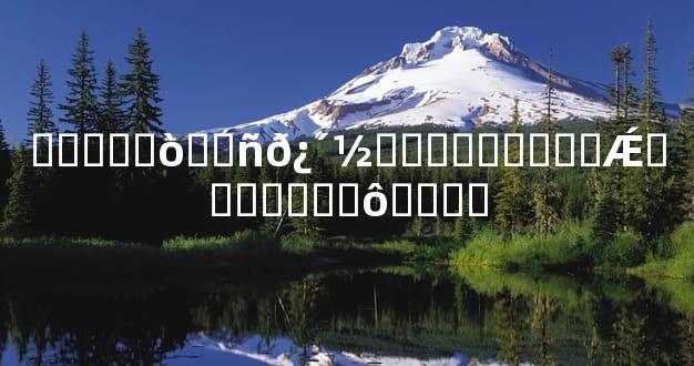 �����ò��ñ𿴽���������Ǽ�������ô����