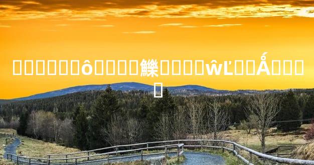 �����ʲôʱ���鱳����ŵĽ��Ǻ��ڴ�