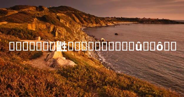 �����˽�鼪���������ʵû��ô��