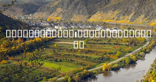 �����⼸������ı��ҵ���ܶ��˺���ˡ�