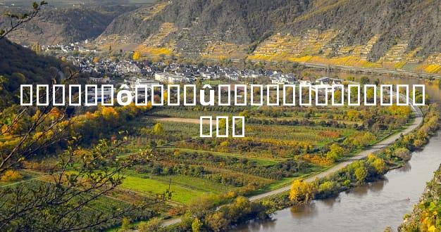 ������ô���˺û��ܶ��˶���֪������