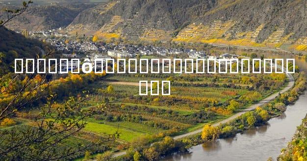 ������ô��������ԭ��ܶ��˶������