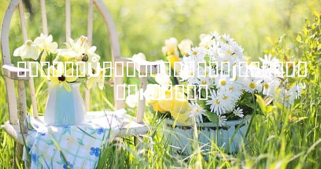 ������Ů�Կ���ֻ�ֱȽ�׼ȷ������˭�ĸ�����