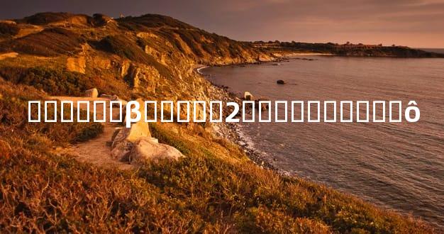 ������β���ֲ�2���������ʲô