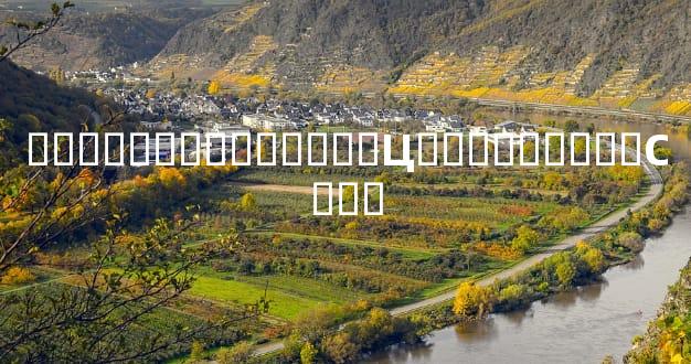 ������ھ�˳�����Ц�����뱳���С��˼