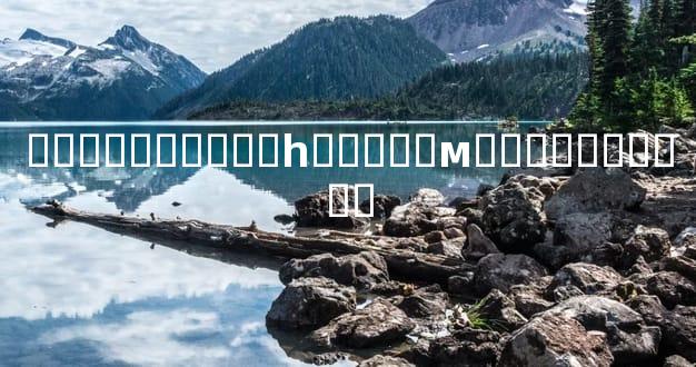 �������ʦ��һ�챳���м����˵�����