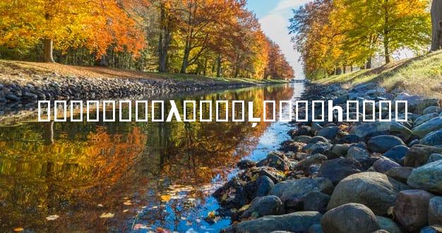 ��������λ����Ļ�Ӱ��һ����