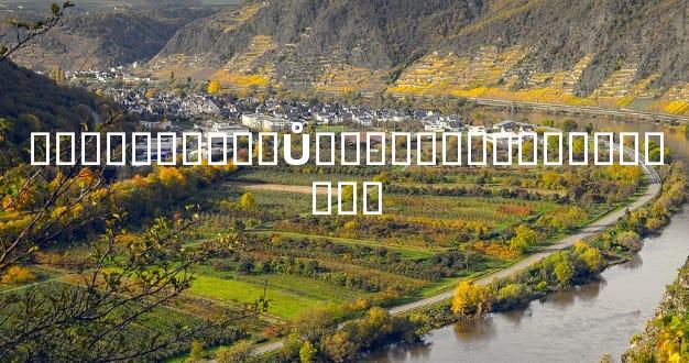 ����������Ů�˵��׿����ֻ�������