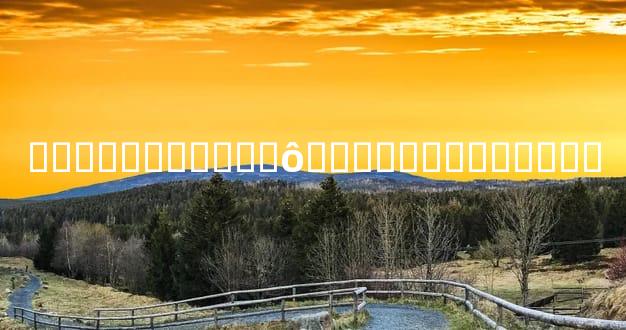 ����������ʲôԤ�׺ܶ��˶������