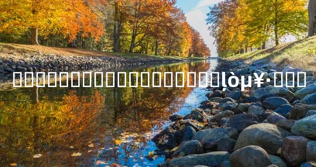 �����������Լ������ļ򵥷���