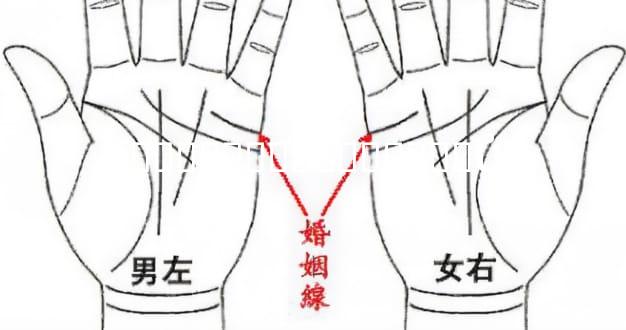 �������������Ƶ�Ů