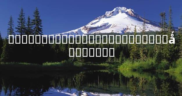 �������������˲���ʱ������ǻ���ѡ��Ʒ