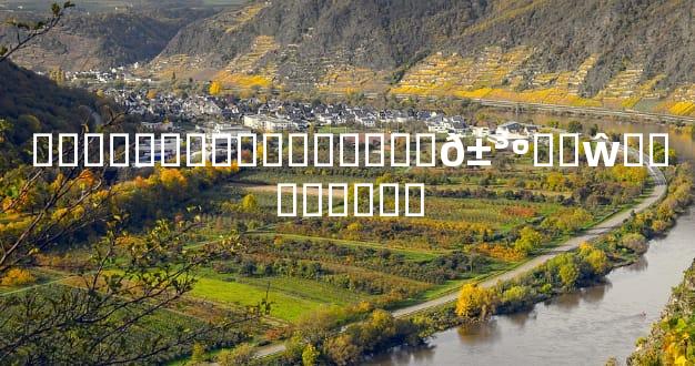 ��������������׼�𱳺��ŵ�˵������