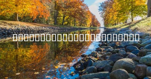 �������������������ϵ���