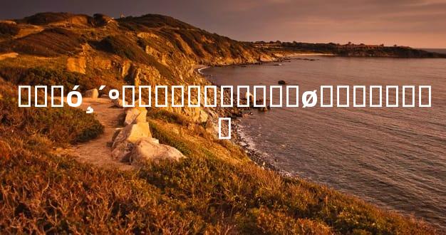 ���󸴺ϡ����������ø��ϸ�����