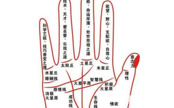 ��õĲ�����Ӧ�ó�����