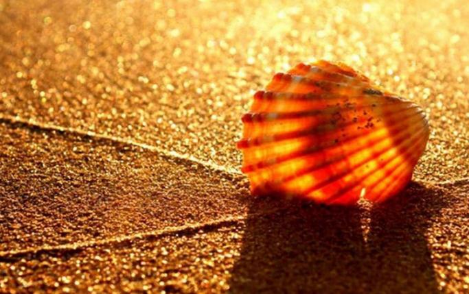Ů һӺҸ