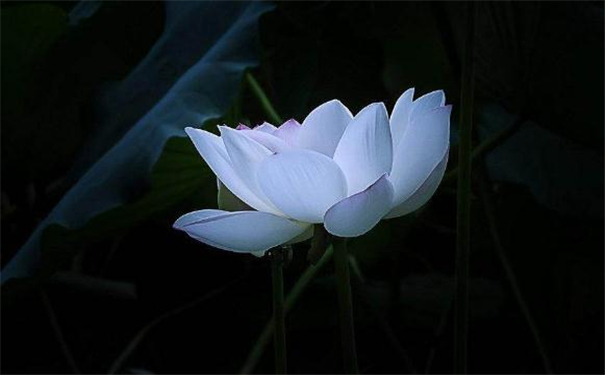 阴阳学