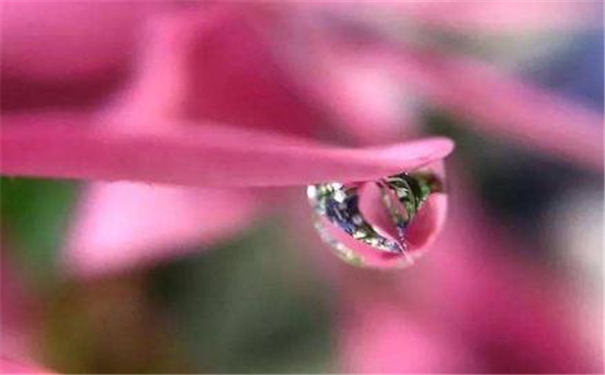 �ͷ����������Ů����˵�ò���