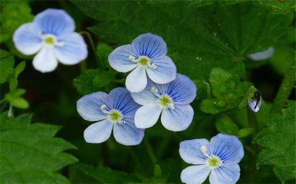 ���������ҵ��