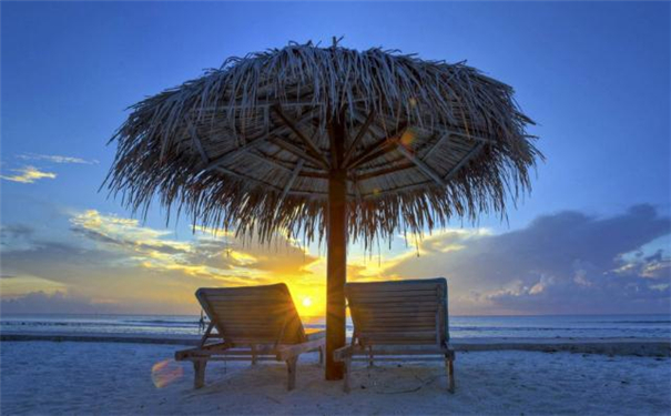 ���Ʋ��������